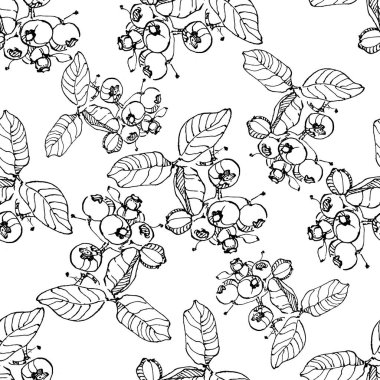 Vector soyut siyah fırça sıçraması. Yabanmersinli el çizimi klasik. Grunge fırça darbesi serbest mürekkep dekoru. Siyah beyaz işlemeli mürekkep sanatı. Kusursuz bir arka plan modeli. Kumaş duvar kağıdı baskı dokusu.