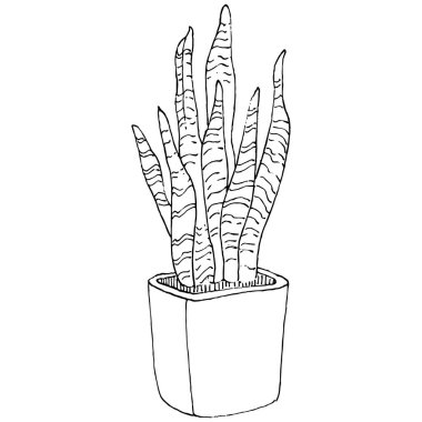 Saksıdaki Ev Bitkisi skeci. İç mekan ya da ofis dekorasyonu için bir asma fabrikada çiçek yetiştirmenin izole bir çizimini yapın. Bahçe çiçeklerinin taşıyıcısı.