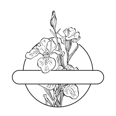 El çizimi irisler çiçek logosu, çerçeve, sınır, tanıtım elementleri. Damga şablonu. Minimalist monogram. Rustik zarif marka veya logottip arkaplan.