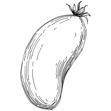 Salatalık sebzeleri taslak vektör çizimi. İşlemeli stil. Tarım piyasasında ürün. Tasarım menüsü, etiket, rozet, pankart ve tanıtım için en iyi yer. 