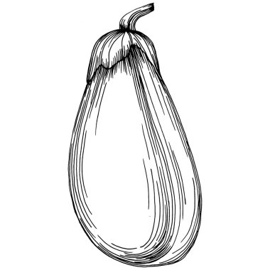 El yapımı patlıcan çizimi. Patlıcan sebze oymalı. Brinjal Sketch vejetaryen yemek çizimi. Gine kabağı tarım pazarı ürünü. Tasarım logosu, menü, etiket, simge için en iyisi.