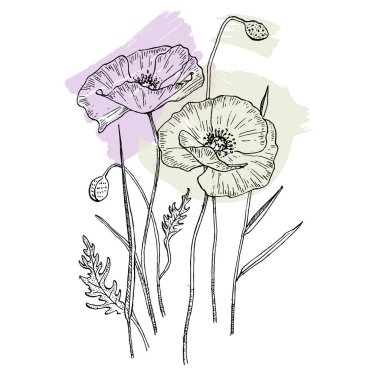 Modern sanat gelinciklerinin moda renkli posterleri. Soyut el çiçekleri, geometrik elementleri ve vuruşları, yaprakları ve çiçekleri çizer. 