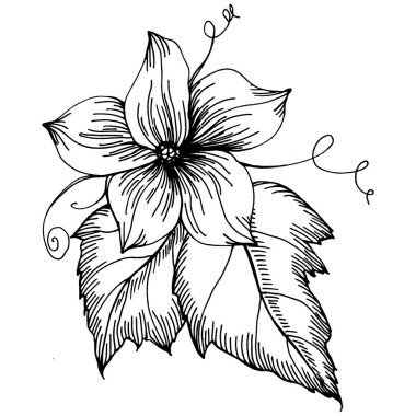 Salatalık sebzeleri taslak vektör çizimi. İşlemeli stil. Tarım piyasasında ürün. Tasarım menüsü, etiket, rozet, pankart ve tanıtım için en iyi yer. 