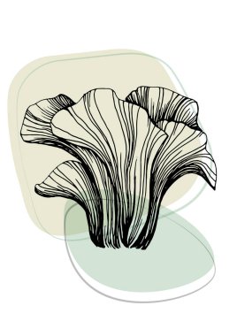 Moda renklerinde çağdaş sanat mantarları posterleri. Soyut el çiçekleri, geometrik elementleri ve vuruşları, yaprakları ve çiçekleri çizer. 