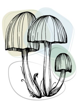 Moda renklerinde çağdaş sanat mantarları posterleri. Soyut el çiçekleri, geometrik elementleri ve vuruşları, yaprakları ve çiçekleri çizer. 