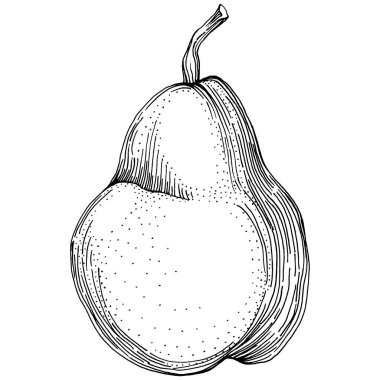 El çizimiyle çizilmiş armut eşkali. Beyaz arkaplanda meyve vektörü.