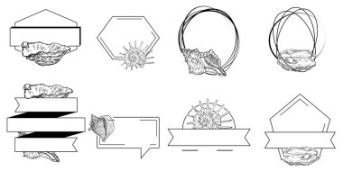 El yapımı kabuk logosu, çerçeve, sınır, promosyon elemanı. Damga şablonu. Minimalist monogram. Rustik zarif marka veya logottip arkaplan.