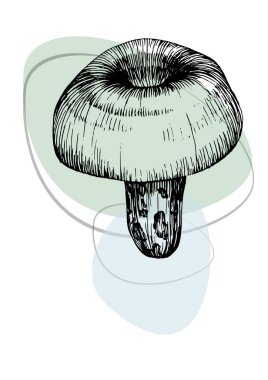 Moda renklerinde çağdaş sanat mantarları posterleri. Soyut el çiçekleri, geometrik elementleri ve vuruşları, yaprakları ve çiçekleri çizer. 