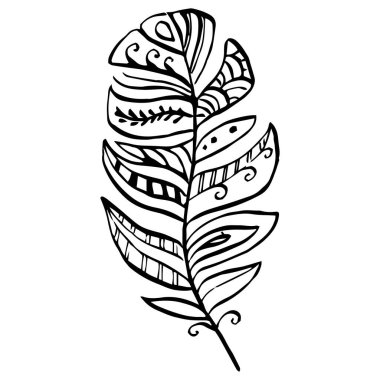 Kanattan kuş tüyü izole edilmiş. İzole illüstrasyon elementi. Arkaplan, doku, ambalaj deseni, çerçeve veya kenar için vektör tüyü.