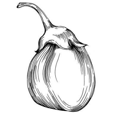 El yapımı patlıcan çizimi. Patlıcan sebze oymalı. Brinjal Sketch vejetaryen yemek çizimi. Gine kabağı tarım pazarı ürünü. Tasarım logosu, menü, etiket, simge için en iyisi.