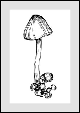 Abstract exotic mushroom, natural poster on white background