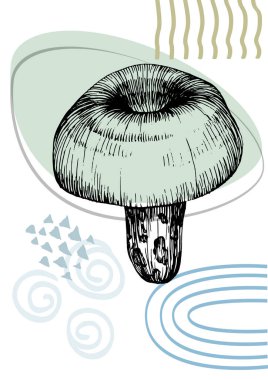 Moda renklerinde çağdaş sanat mantarları posterleri. Soyut el çiçekleri, geometrik elementleri ve vuruşları, yaprakları ve çiçekleri çizer. 