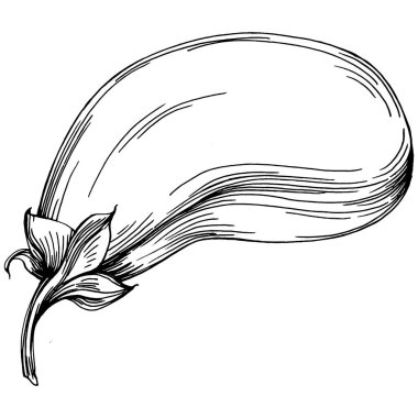 El yapımı patlıcan çizimi. Patlıcan sebze oymalı. Brinjal Sketch vejetaryen yemek çizimi. Gine kabağı tarım pazarı ürünü. Tasarım logosu, menü, etiket, simge için en iyisi.