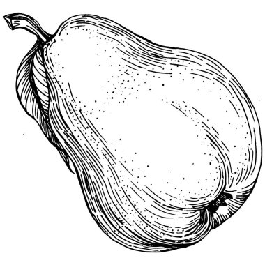 El çizimiyle çizilmiş armut eşkali. Beyaz arkaplanda meyve vektörü.