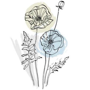 Modern sanat gelinciklerinin moda renkli posterleri. Soyut el çiçekleri, geometrik elementleri ve vuruşları, yaprakları ve çiçekleri çizer. 