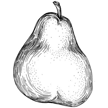 El çizimiyle çizilmiş armut eşkali. Beyaz arkaplanda meyve vektörü.