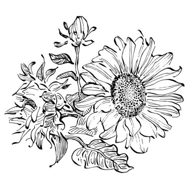 Çiçekli botanik çiçeği. İzole illüstrasyon elementi. Arkaplan, doku, ambalaj deseni, çerçeve veya kenar çizimi için vektör el.