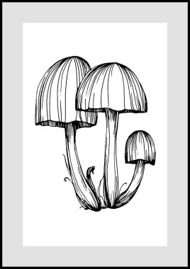 Abstract exotic mushrooms, natural poster on white background