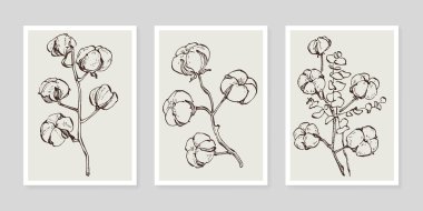 Pamuk çiçek duvarı sanat seti. Soyut şekilli doğa çiziminin yaprakları. Baskı, kapak, duvar kâğıdı ve dekorasyon için modern Soyut Bitki Sanatı tasarımı.