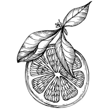 Lemon beyaz arka planda izole edilmiş. Organik yağ oymalı taslak. Güzellik ve kaplıca, kozmetik malzeme. Etiket, poster, broşür, ambalaj için harika