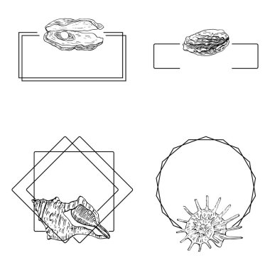 El yapımı kabuk logosu, çerçeve, sınır, promosyon elemanı. Damga şablonu. Minimalist monogram. Rustik zarif marka veya logottip arkaplan.