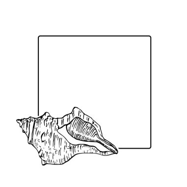 El yapımı deniz kabuğu logosu, çerçeve, sınır, promosyon elemanı. Damga şablonu. Minimalist monogram. Rustik zarif marka veya logottip arkaplan. 