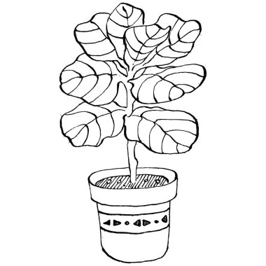 Saksıdaki Ev Bitkisi skeci. İç mekan ya da ofis dekorasyonu için bir asma fabrikada çiçek yetiştirmenin izole bir çizimini yapın. Bahçe çiçeklerinin taşıyıcısı.