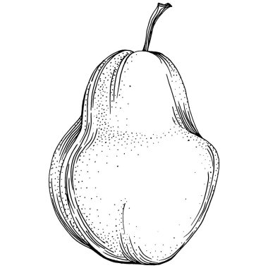 El çizimiyle çizilmiş armut eşkali. Beyaz arkaplanda meyve vektörü.