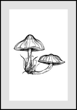 Abstract exotic mushrooms, natural poster on white background