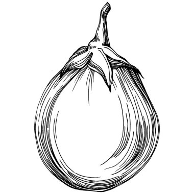 El yapımı patlıcan çizimi. Patlıcan sebze oymalı. Brinjal Sketch vejetaryen yemek çizimi. Gine kabağı tarım pazarı ürünü. Tasarım logosu, menü, etiket, simge için en iyisi.