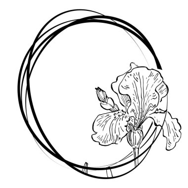 El çizimi irisler çiçek logosu, çerçeve, sınır, tanıtım elementleri. Damga şablonu. Minimalist monogram. Rustik zarif marka veya logottip arkaplan.