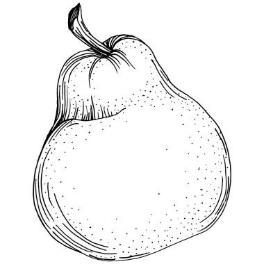 El çizimiyle çizilmiş armut eşkali. Beyaz arkaplanda meyve vektörü.