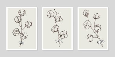 Pamuk çiçek duvarı sanat seti. Soyut şekilli doğa çiziminin yaprakları. Baskı, kapak, duvar kâğıdı ve dekorasyon için modern Soyut Bitki Sanatı tasarımı.