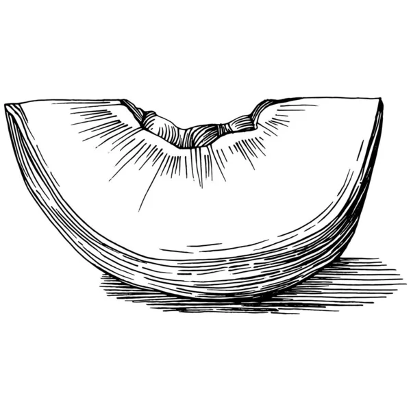 Dibujo Melocotón Vector Aislado Fruto Ilustrado Dibujado Mano Comida Verano — Archivo Imágenes Vectoriales