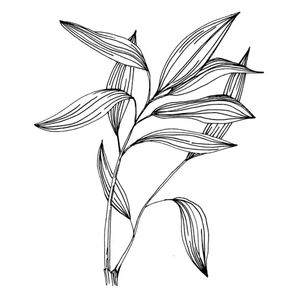 Бамбуковое Растение Вручную Рисовал Эскиз Цветочные Татуировки Детализированы Линейном Стиле — стоковый вектор
