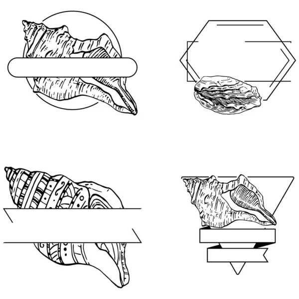 El yapımı kabuk logosu, çerçeve, sınır, promosyon elemanı. Damga şablonu. Minimalist monogram. Rustik zarif marka veya logottip arkaplan.