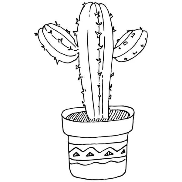 Home Plant Potten Schets Outline Tekening Geïsoleerde Illustratie Van Groeiende — Stockvector