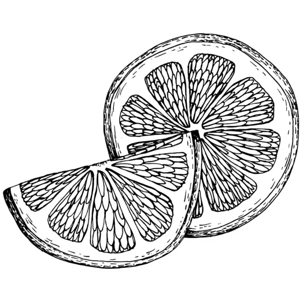 Лимон Изолирован Белом Фоне Органический Эфирный Эфирный Маслогравированный Эскиз Красота — стоковый вектор