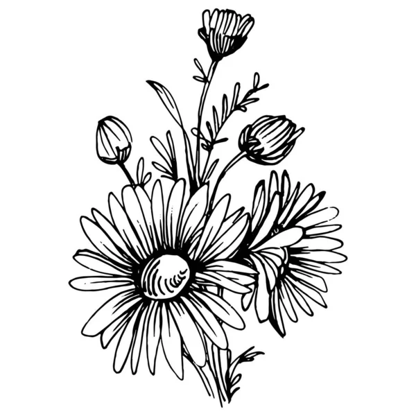 Manzanilla Mano Daisy Whee — Vector de stock