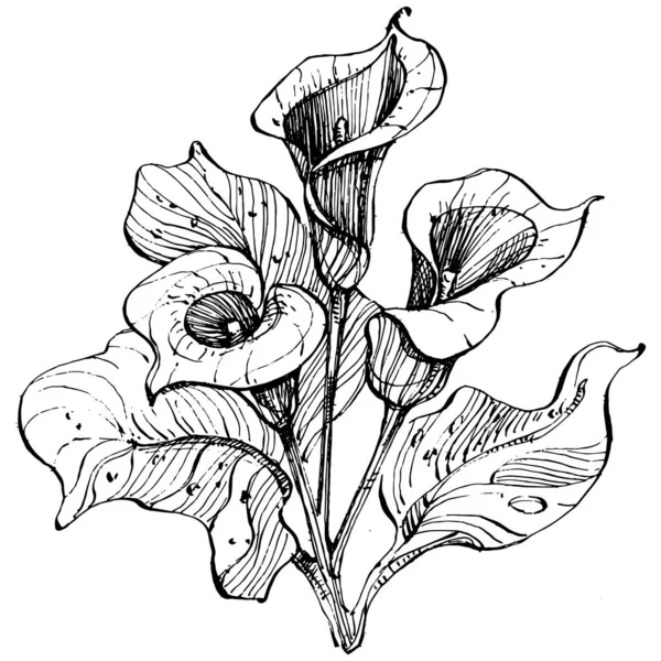 Тропическая Цветочная Кала Руки Лилия Цветочный Логотип Татуировка Подробно Линии — стоковый вектор