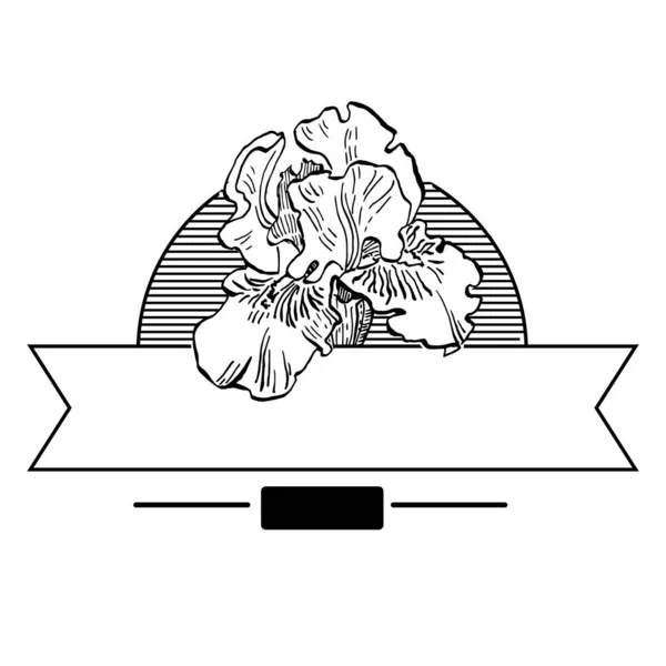 Handgezeichnete Schwertlilien Florales Logo Rahmen Rand Promo Element Vorlage Für — Stockvektor
