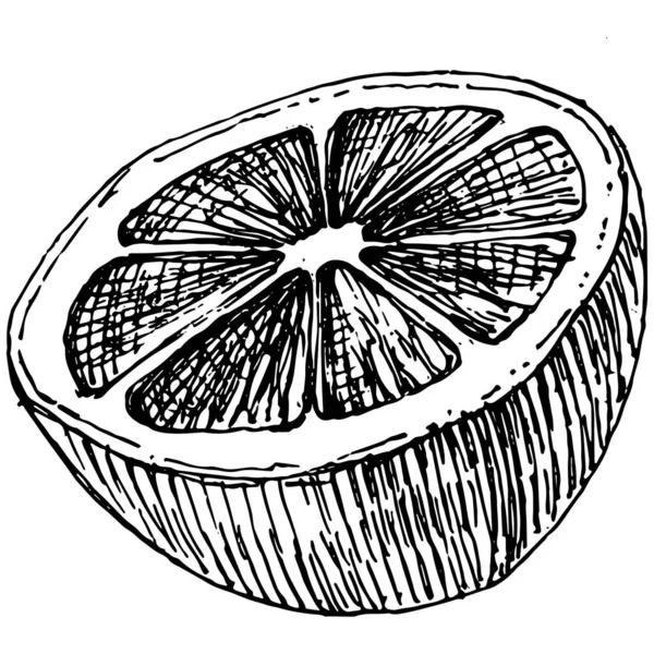 Лимон Ізольований Білому Тлі Схема Органічного Ефірного Масла Гравірованим Стилем — стоковий вектор