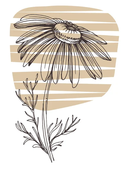 Affiches Florales Art Contemporain Aux Couleurs Tendance Dessin Abstrait Main — Image vectorielle