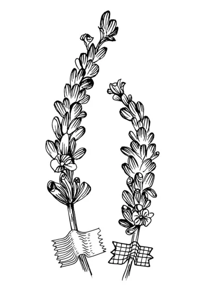 Moda renklerinde çağdaş sanat lavantası çiçek posterleri. Soyut el çiçekleri, geometrik elementleri ve vuruşları, yaprakları ve çiçekleri çizer. 