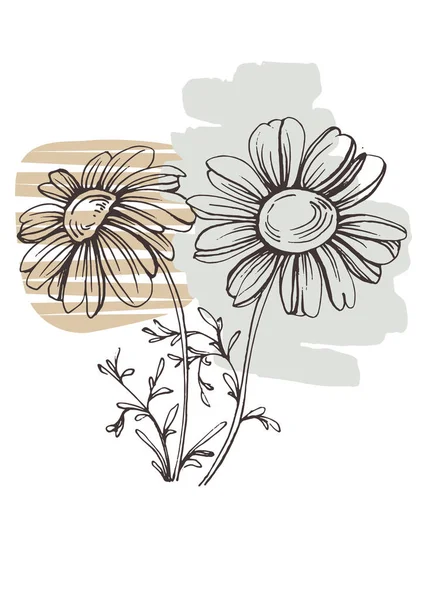 Affiches Florales Art Contemporain Aux Couleurs Tendance Dessin Abstrait Main — Image vectorielle