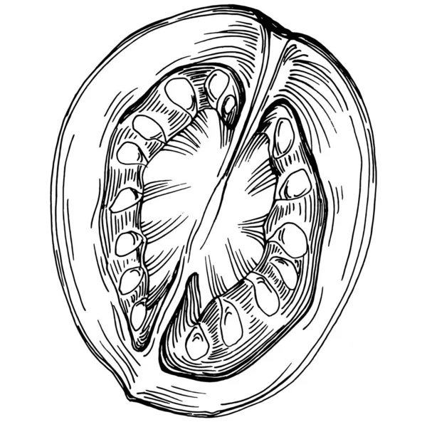 Tomaat Geïsoleerde Elementen Groenten Schetsen Vector Illustratie Een Gegraveerde Stijl — Stockvector