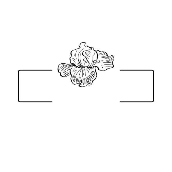 Ręcznie Rysowane Tęczówki Kwiatowe Logo Ramka Obramowanie Element Promo Szablon — Wektor stockowy