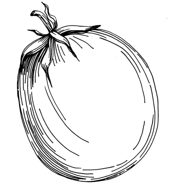 Elementos Aislados Tomate Dibujo Vegetales Ilustración Vectorial Estilo Grabado Producto — Archivo Imágenes Vectoriales