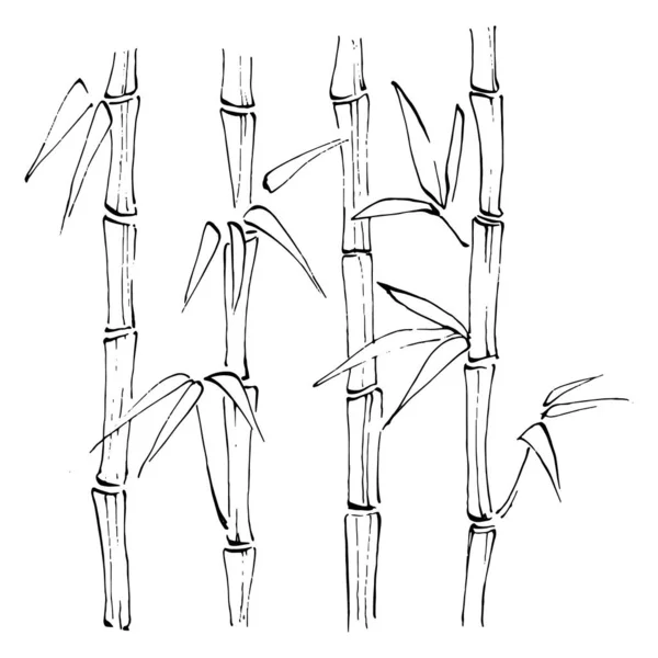 대나무는 손으로 그림을 그리는 것이다 문신은 스타일로 상세하게 기록되어 아트는 — 스톡 벡터
