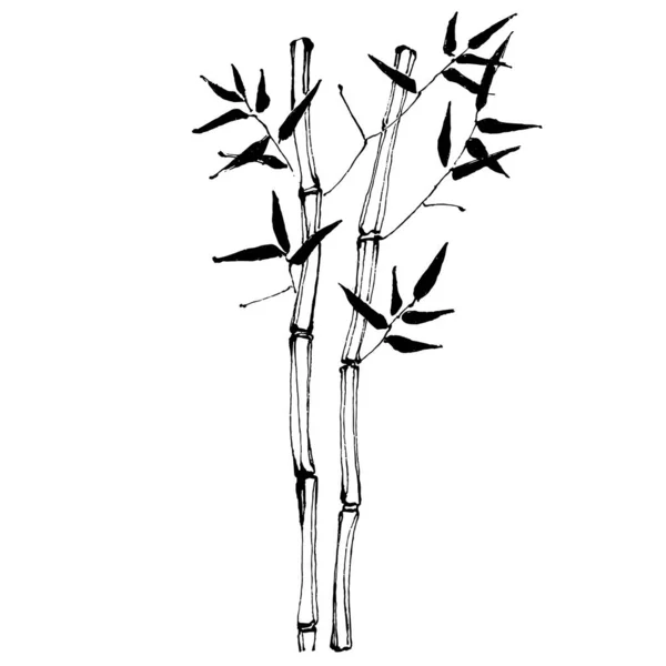 手描きのスケッチで竹の植物 花の入れ墨は ラインアートスタイルで非常に詳細です 白を基調とした黒と白のクリップアート アンティークヴィンテージの彫刻イラスト — ストックベクタ